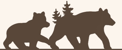 Twinbears_logo_right_sm_brown02